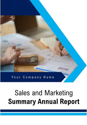 Sales and marketing summary annual report pdf doc ppt document report template