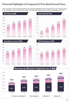 Semi annual progress report for firm in cosmetics industry pdf doc ppt document report template