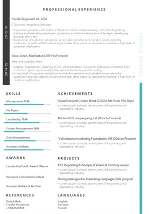 Sample template of professional curriculum vitae