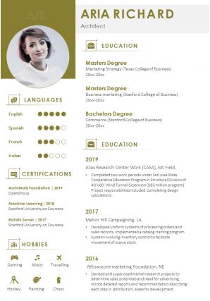 Professional resume summary example format