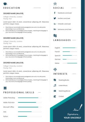 Sample curriculum vitae template with career achievements