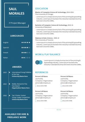 Career statement sample cv template for it project manager