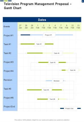 Television program management proposal sample document report doc pdf ppt