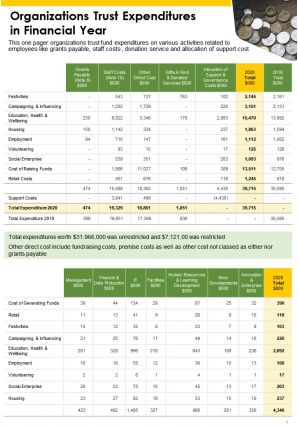 Trustees annual report pdf doc ppt document report template