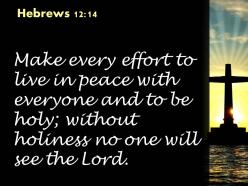 0514 hebrews 1214 make every effort to live powerpoint church sermon