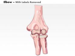 0514 human anatomy elbow anterior view medical images for powerpoint