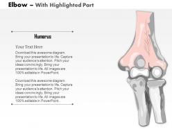 0514 human anatomy elbow anterior view medical images for powerpoint