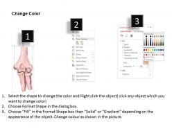 0514 human anatomy elbow anterior view medical images for powerpoint