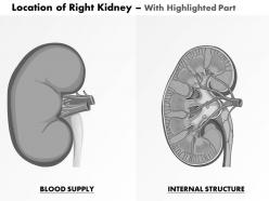 0514 location of right kidney medical images for powerpoint