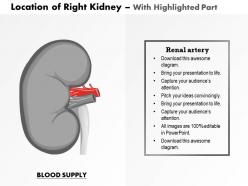 0514 location of right kidney medical images for powerpoint