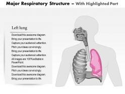 33662627 style medical 1 respiratory 1 piece powerpoint presentation diagram infographic slide