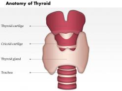 0514 neck hyoid bone thyroid cartilage thyroid gland medical images for powerpoint