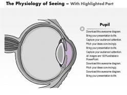 0514 physiology of seeing eye anatomy medical images for powerpoint