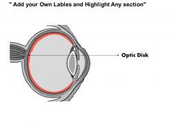 0514 physiology of seeing eye anatomy medical images for powerpoint