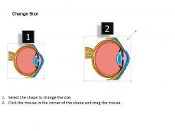 0514 physiology of seeing eye anatomy medical images for powerpoint