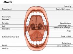 77441423 style medical 1 respiratory 1 piece powerpoint presentation diagram infographic slide