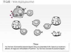 0614 t cell immune medical images for powerpoint