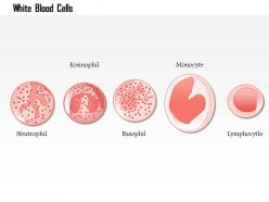 0614 white blood cells immune system medical images for powerpoint