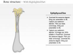 0714 bone structure medical images for powerpoint