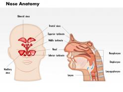 57384141 style medical 1 respiratory 1 piece powerpoint presentation diagram template slide