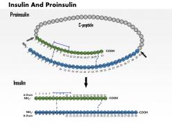 0814 insulin and proinsulin medical images for powerpoint