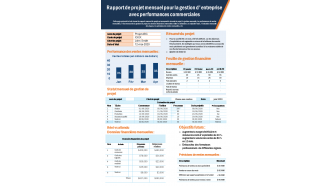 Rapport de projet mensuel pour la gestion d'entreprise avec rapport de performance des ventes infographie ppt document pdf