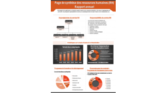 Page Sommaire Du Rapport Annuel Des Ressources Humaines RH Rapport De Présentation Ppt Document Pdf