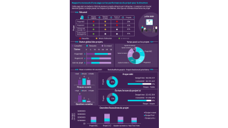 Rapports mensuels sur la performance du projet d'une page pour le rapport de présentation de la direction, document infographique ppt pdf