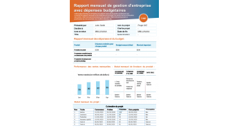 Rapport mensuel de gestion d'entreprise avec rapport de présentation des dépenses budgétaires document infographique ppt pdf