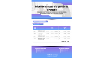 Gestión de inventario acceso informe presentación informe infografía ppt documento pdf