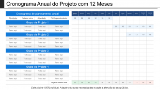 Cronograma anual do projeto com 12 meses