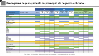 Cronograma de planejamento de promoção comercial cobrindo o tipo de campanha com as metas do projeto