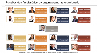 Funções dos funcionários do organograma na organização