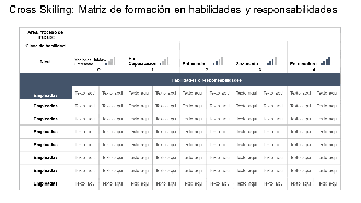 Matriz de capacitación en habilidades y responsabilidades transversales