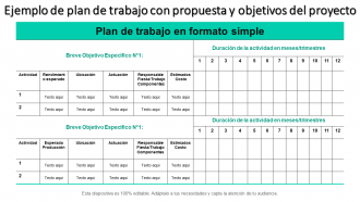 Modelo de plan de trabajo con propuesta de proyecto y objetivos.