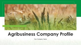 Agribusiness Company Profile Powerpoint Presentation Slides