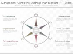 App management consulting business plan diagram ppt slides