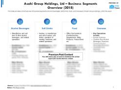 Asahi group holdings ltd business segments overview 2018