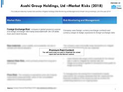 Asahi group holdings ltd market risks 2018