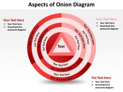 Aspects of onion diagram shown by concentric circles and triangle powerpoint templates 0712