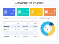 Audit dashboard snapshot with different tabs