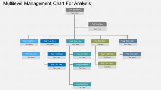 Bd multilevel management chart for analysis flat powerpoint design