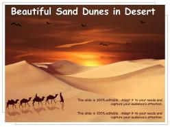 Beautiful sand dunes in desert