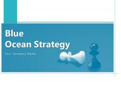 Blue Ocean Strategy Innovation Experience Representation Leadership Framework