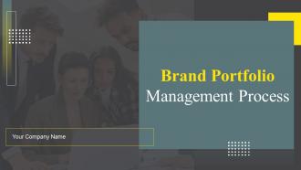 Brand Portfolio Management Process Branding CD V