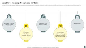 Brand Portfolio Management Process Branding CD V