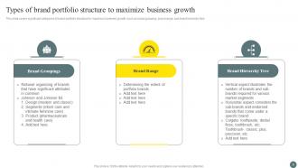 Brand Portfolio Management Process Branding CD V