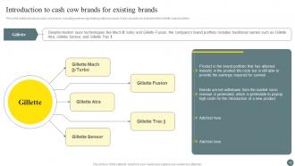 Brand Portfolio Management Process Branding CD V