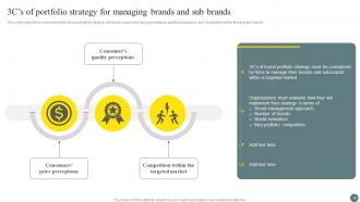 Brand Portfolio Management Process Branding CD V