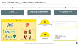 Brand Portfolio Management Process Branding CD V